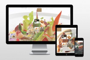 Responsive Site Script Responsive Site Script
